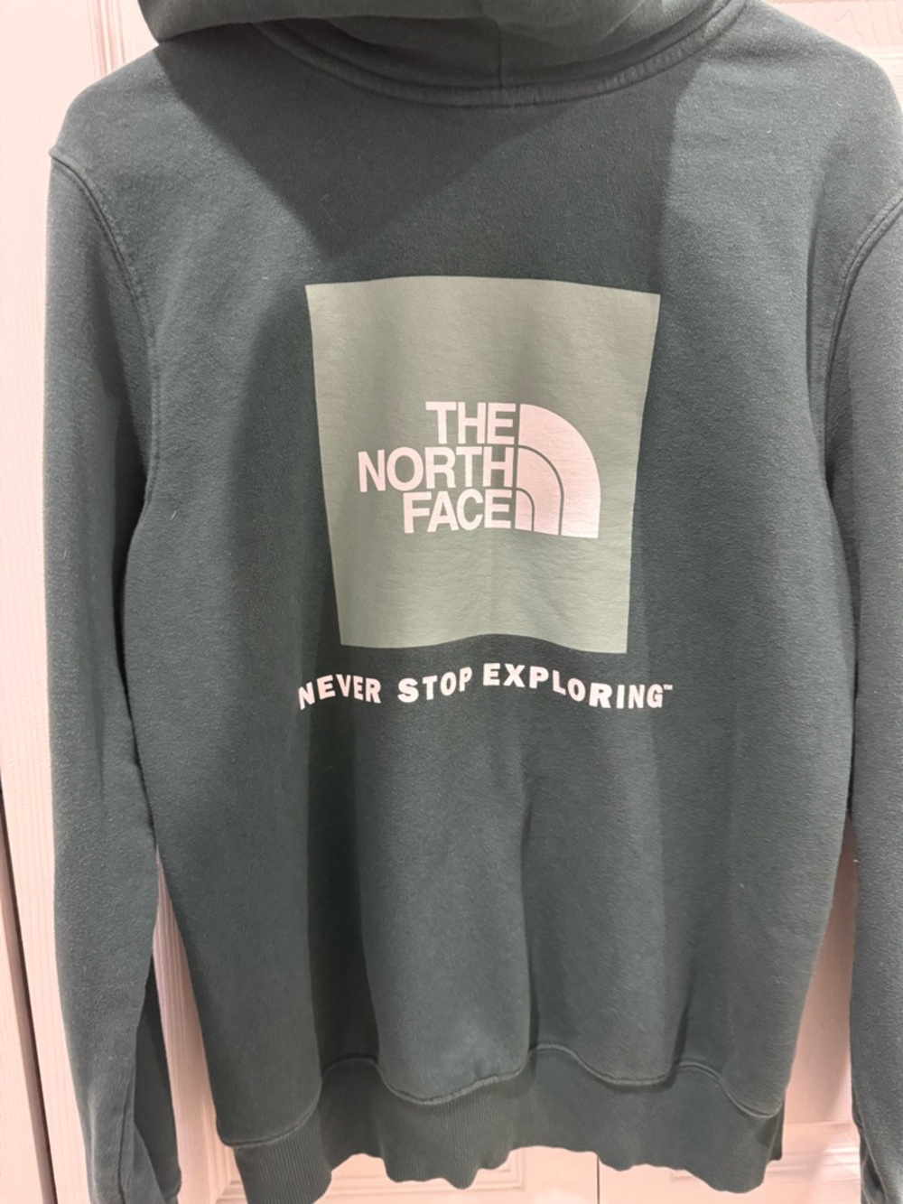 The North Face Men's Forest Green Crewneck